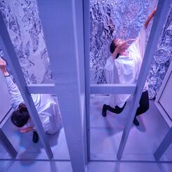 The Boundary: A Life and Death Experience