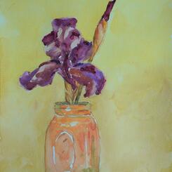 Iris in a Ball Jar