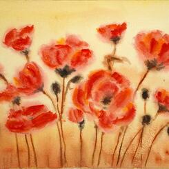 Poppies for Veterans Day 2023