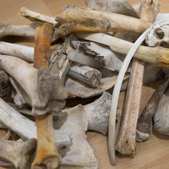 A Triptych for the Forgotten detail