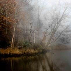 Autumn Mist.jpg