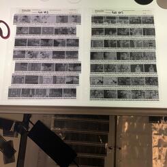 Contact Sheets