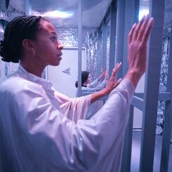 The Mirrorless Mirror Room