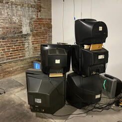 The Back of the body