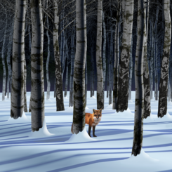FOX IN SNOW