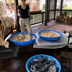 Hand-dying process using Indian Vegetable Dyes for Large Raw Canvases, 15 feet by 84 inches.  