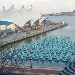 The Herd - Aerial View