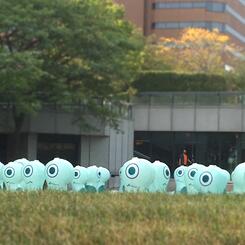 HERD_TOLEDO (18).JPG