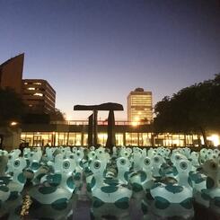 HERD_TOLEDO (26).JPG