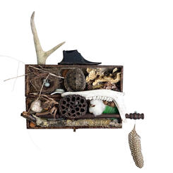 Have You Ever Wandered Lonely Through The Woods?