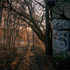 Hunt Near Eutaw Chapel