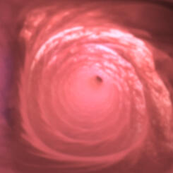 Still from 'Immersive Experience'