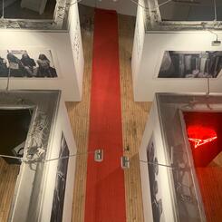 OUR SKIN, OUR LOGO. aerial view 