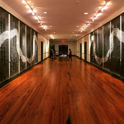 The Divide installed at Creative Artspace New Orleans (14 Panels)