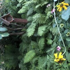 Solitary Bee House in Artist's garden