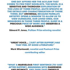 Words of praise for Pamela Woolford's fiction