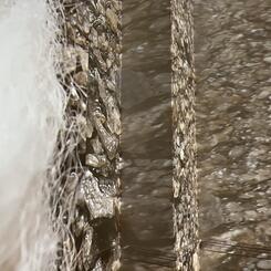 freeze/thaw - detail