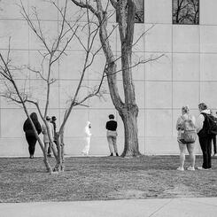 Total Sense of Absorption Performance