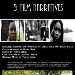 Looking From Within 5 Film Narratives 2013 - 2014 