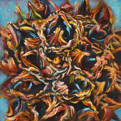 Sweetgum Ball Magnify