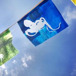 Prayers for the Sea- 100 prayer flags made from fused plastic bags cut through with shapes of sea creatures. 