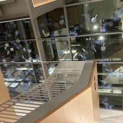 Parts of a Whole (view 8)