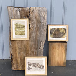 On Summer's Margin (installation view)