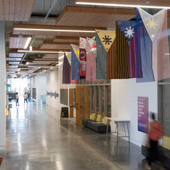 Flag Studies Installation #1