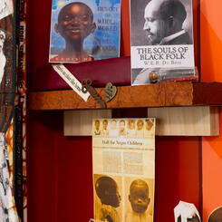 She opens her mouth with WISDOM/Detail shelf 2 