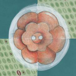 Orange Flower Button