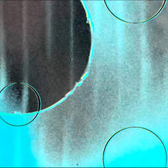 Still from the film Feedback For Nature