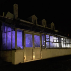 Hothouse for the Flora of Our Own Making