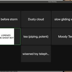 Screenshot of participants