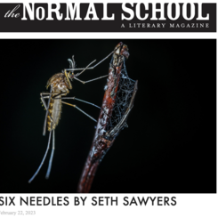The Normal School, Six Needles