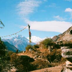 Spinsters in the Distance (2017)