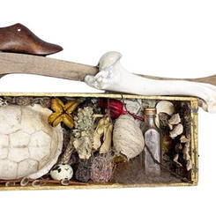 Surrounded By A Slow Resurrection