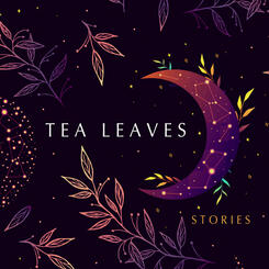 Book Cover (art by Ann McMann)