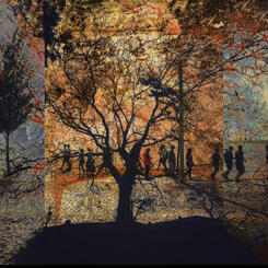 Thinking in the Box.jpg