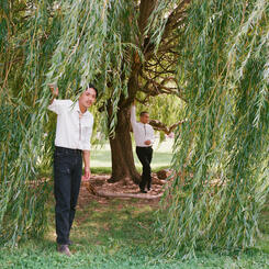 This Land Will Cost You