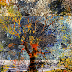 Transitions in Time_0.jpg