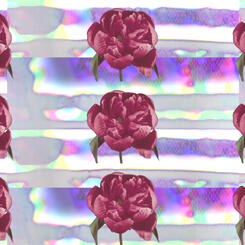 Still 2 of rotating flowers