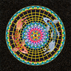 Twin Reflections on Infinity