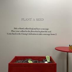 PLANT A SEED