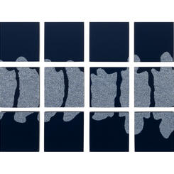 White spine on indigo blue