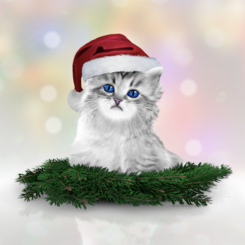 CHRISTMAS KITTEN