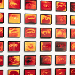 Detail of Eye who witnessed: Installation at the Gregory Allicar Museum 2023