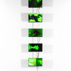 Aborning New Light installation at the Gregory Allicar Museum 2023