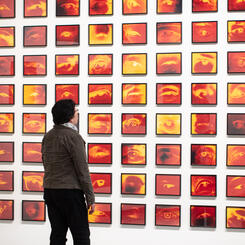 Detail of Eye who witnessed: Installation at the Gregory Allicar Museum 2023