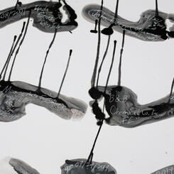 Detail of Total Sense of Absorption