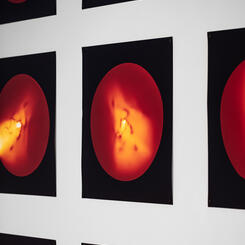 Each Tolling Sun: Installation at Hilliard Art Museum 2023